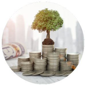 stacks of coins with a small tree on top of a stack