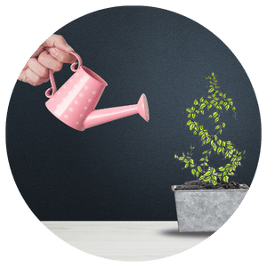 person watering a plant shaped like an american dollar sign
